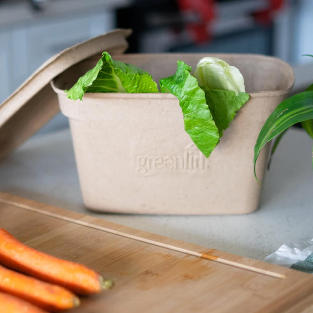 Lettuce in a Greenlid box. Two carrots on a chopping board.