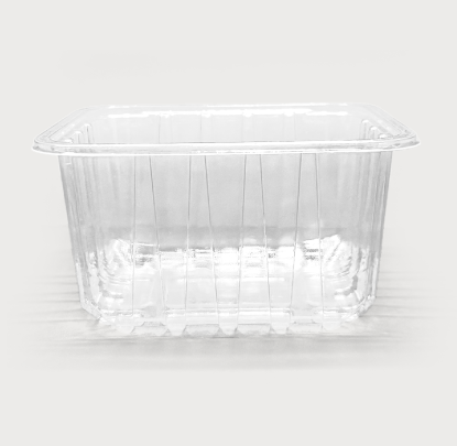 Plastic Container